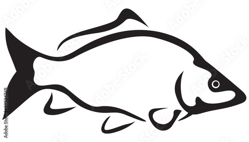 Freshwater fish