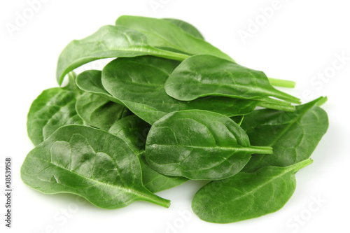 Spinach in closeup