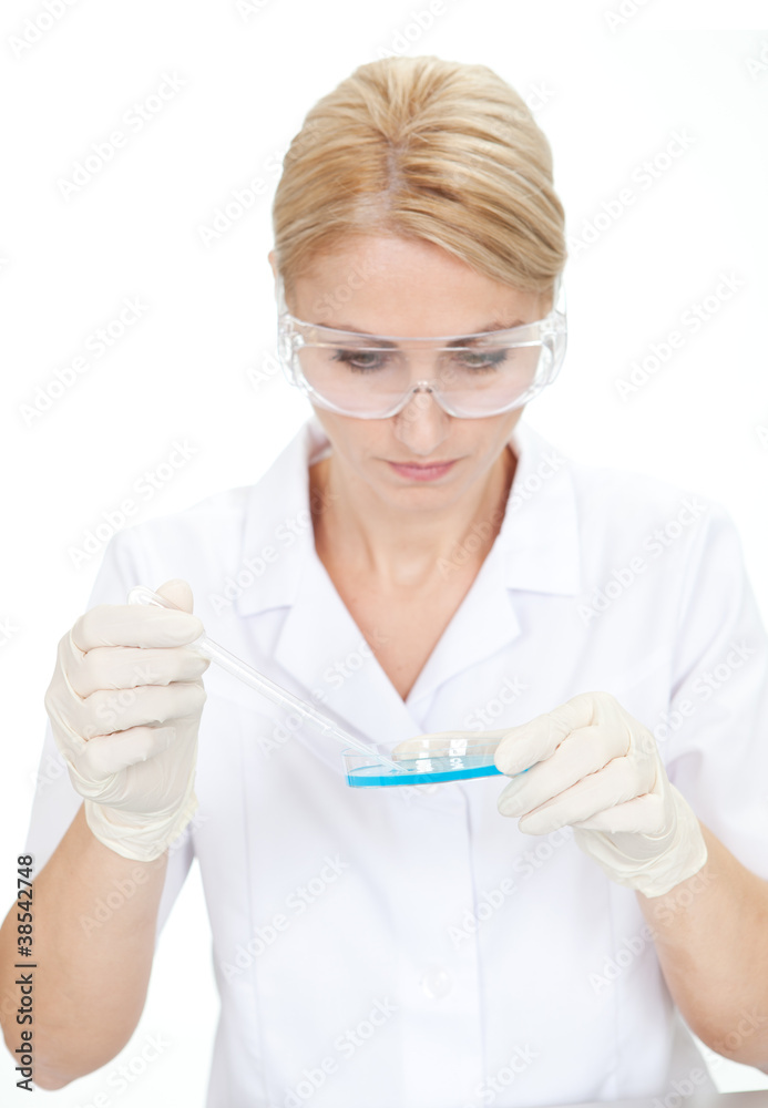 Researcher making an expering using petri dishes Researcher making an expering using petri dishes