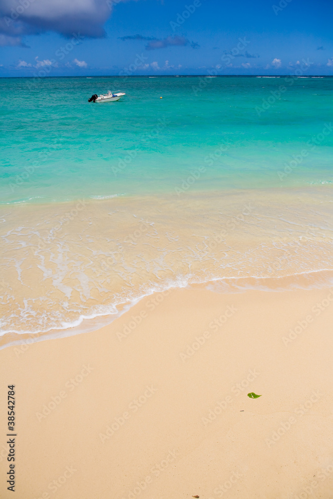 Obraz premium ハワイ ラニカイ