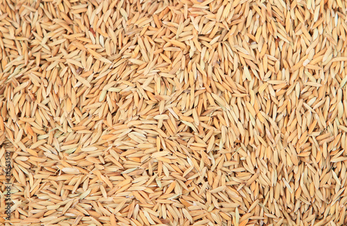 Brown rice background texture .