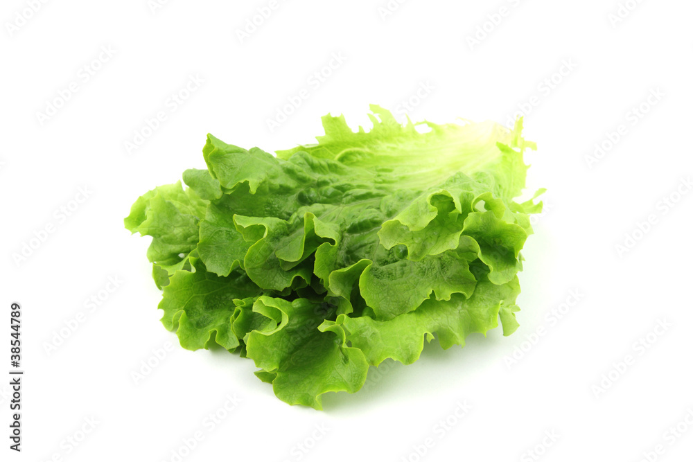 Salad isolated