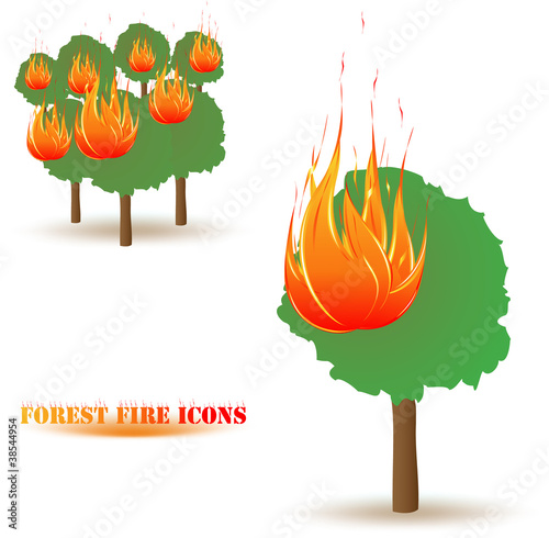 Forrest fire icon