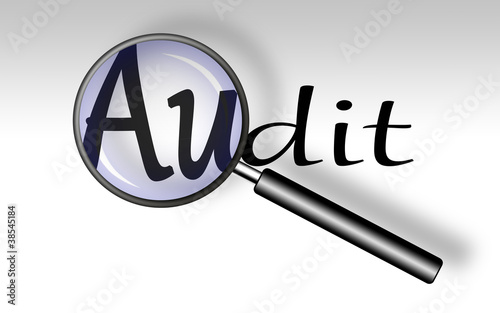 Audit - Lupe