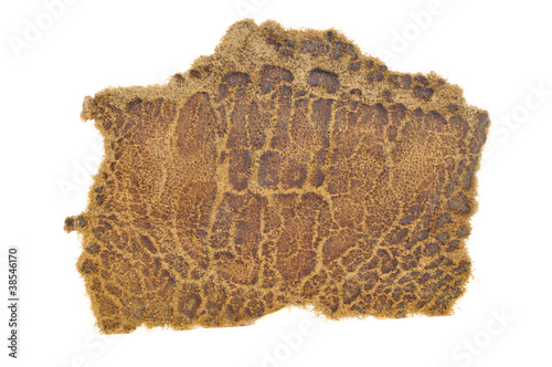 Old Cracked Piece of Brown Leather Isolated on White Background