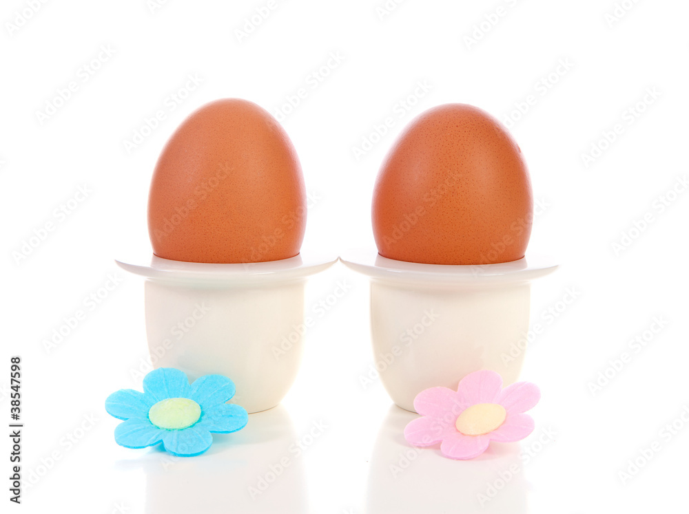 Two chicken eggs in holder Two chicken eggs in holder
