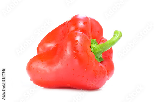 Red Paprika. Pepper isolated on white background.