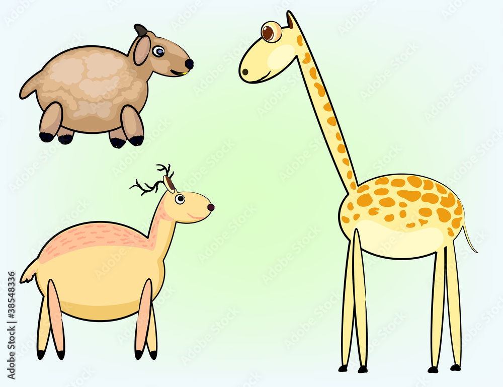 Obraz premium Animals