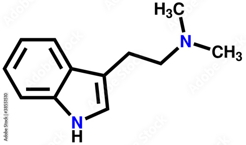 Dimethyltryptamine structural formula