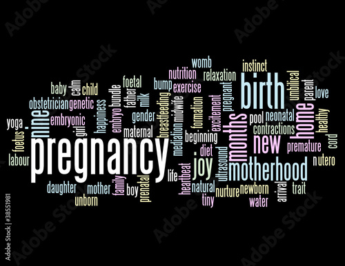 PREGNANCY Tag Cloud (maternity birth pregnant woman mother baby)