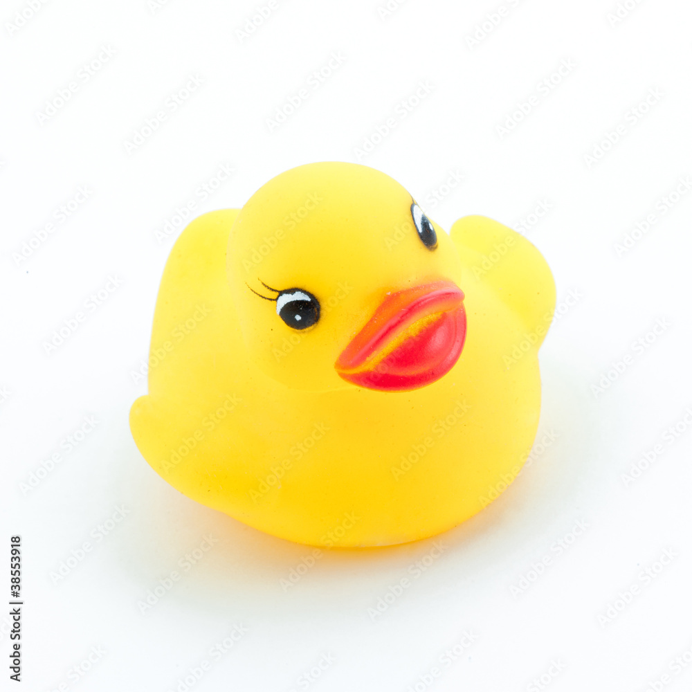 Yellow baby duck Yellow baby duck