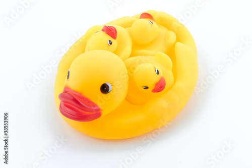 Family duck toy