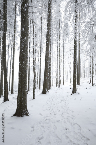 Piękna zima w polskich górach Beskidach