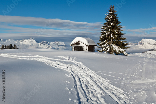 Small Hut and Fir Tree on the Top of the Mountain in French Alps © anshar73
