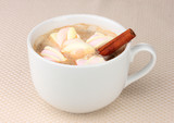 Cup of cappucino with marshmallows and cinnamon