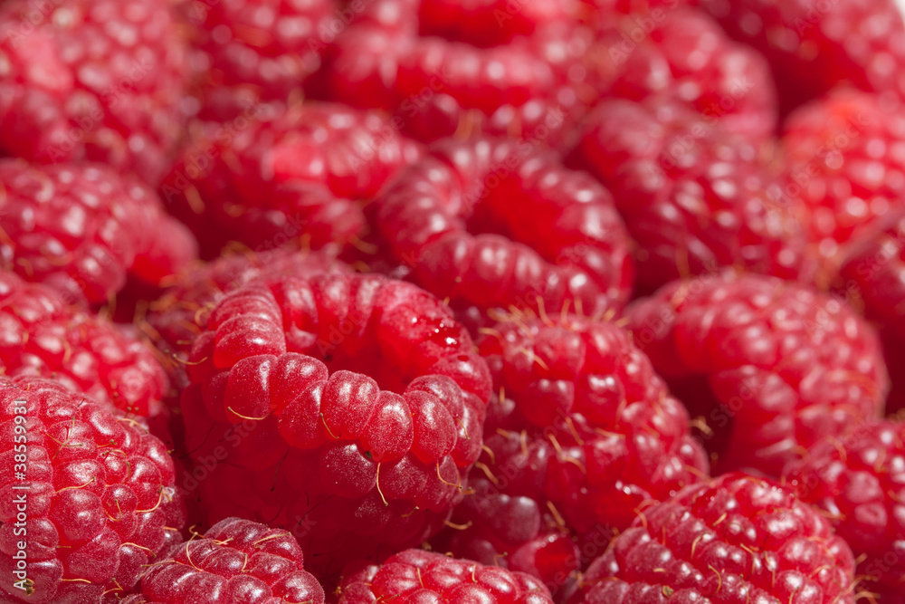 Raspberries Raspberries
