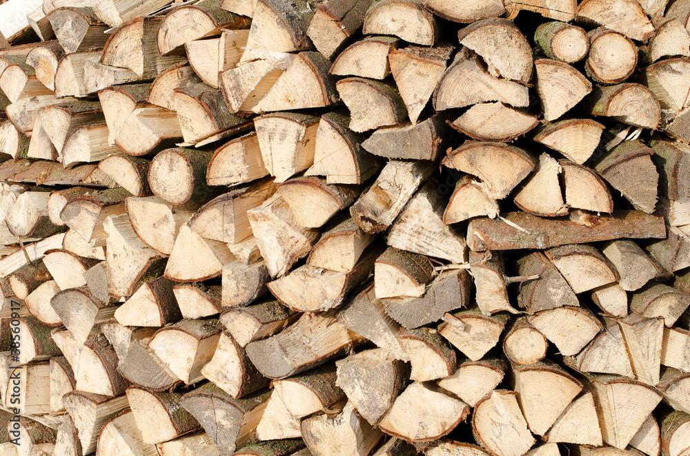Fototapeta premium Woodpile of fire wood