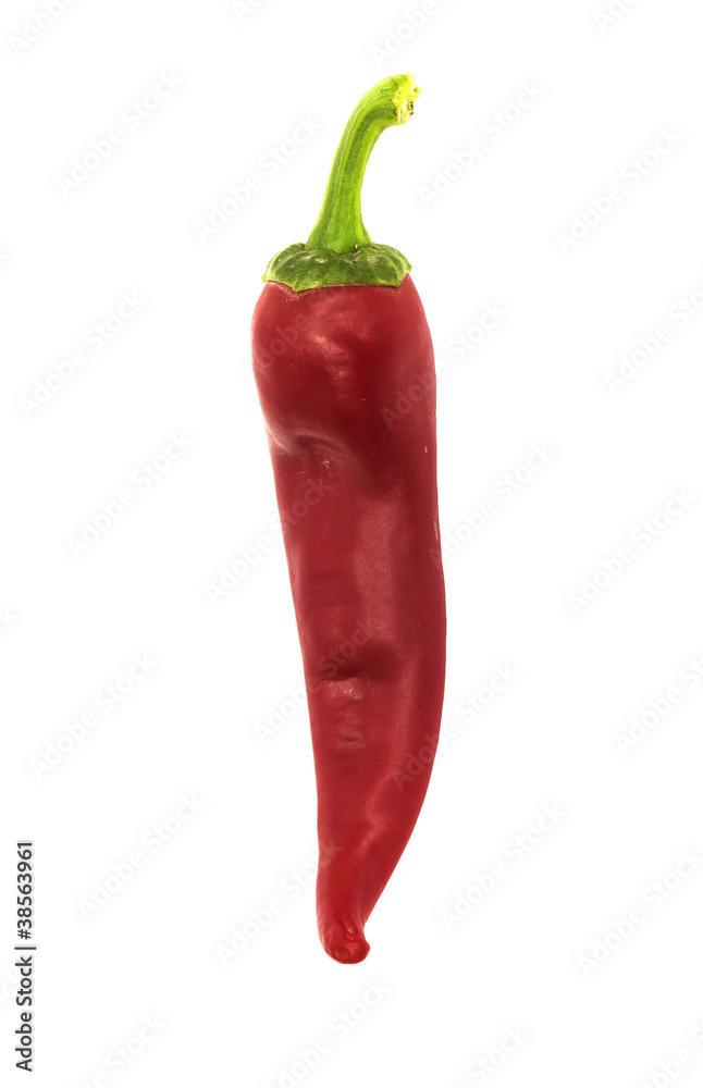 red chilly red chilly