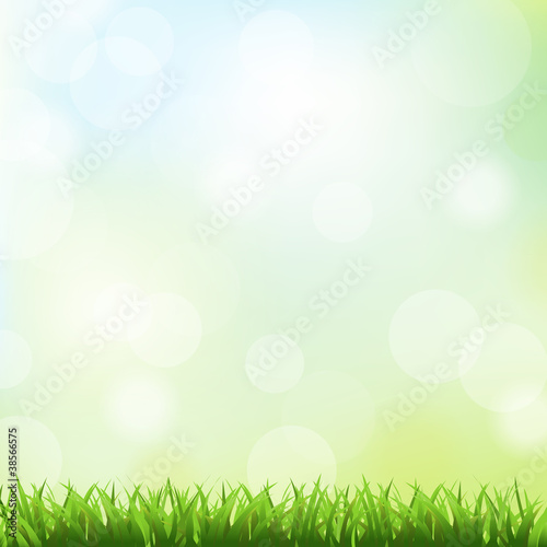 Green Grass And Spring Background