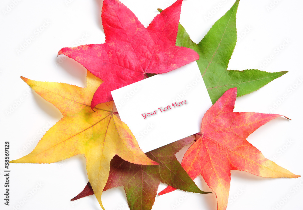 Five Fall Leaves Background