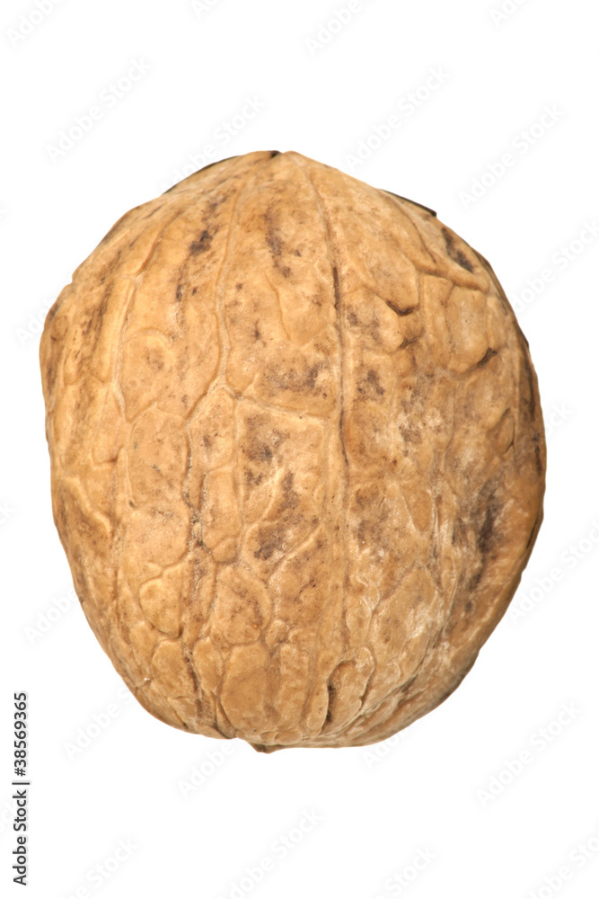 Walnut isolated on white background Walnut isolated on white background