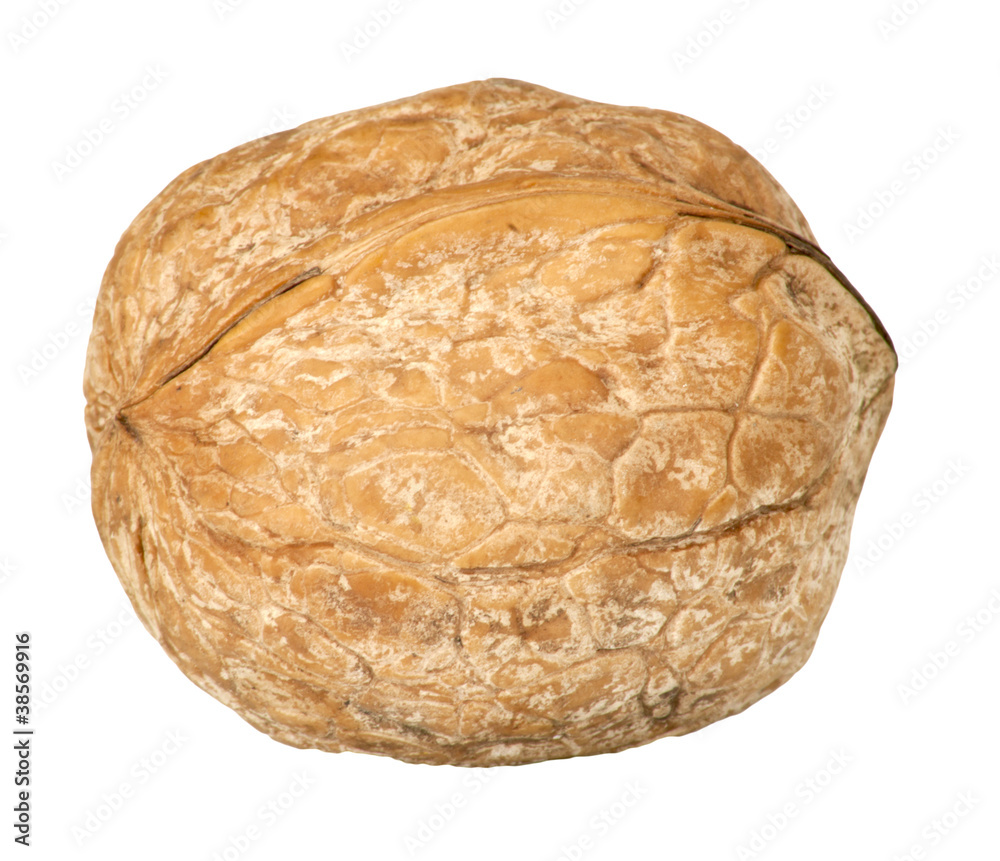 Fototapeta premium Walnut isolated on white background