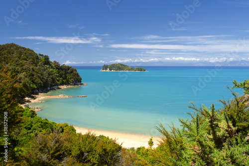 New Zealand Landscape. Abel Tasman National Park.