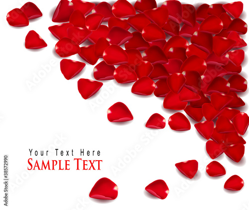Background of red rose petals. Vector