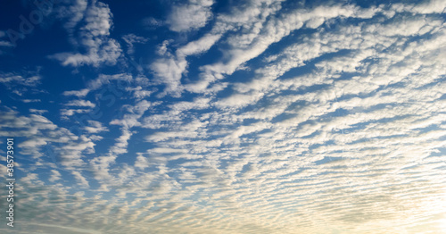 cirrus clouds