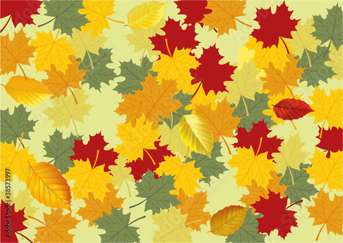 Herbstblätter
