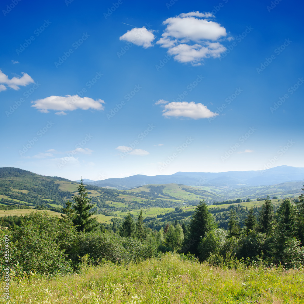Beautiful green mountain landscape with trees in Carpathians