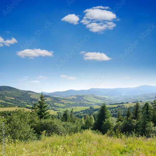 Beautiful green mountain landscape with trees in Carpathians © Mykola Mazuryk