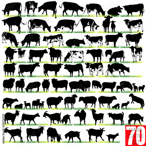 Dairy Cattle Silhouettes Set
