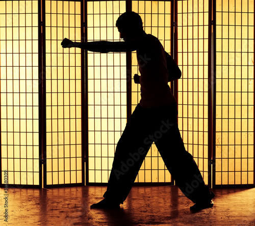 Fotografie, Obraz kung fu punch