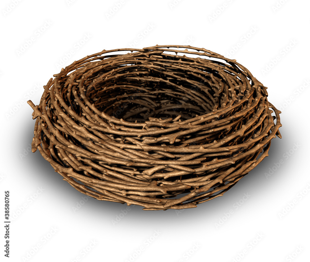Empty Nest Empty Nest