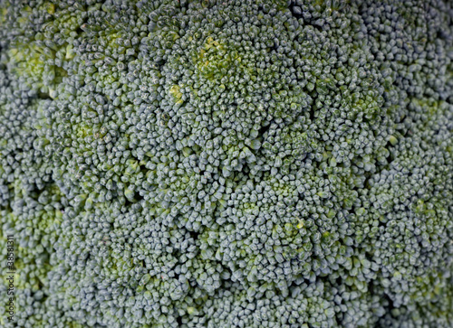 Background of fresh broccoli