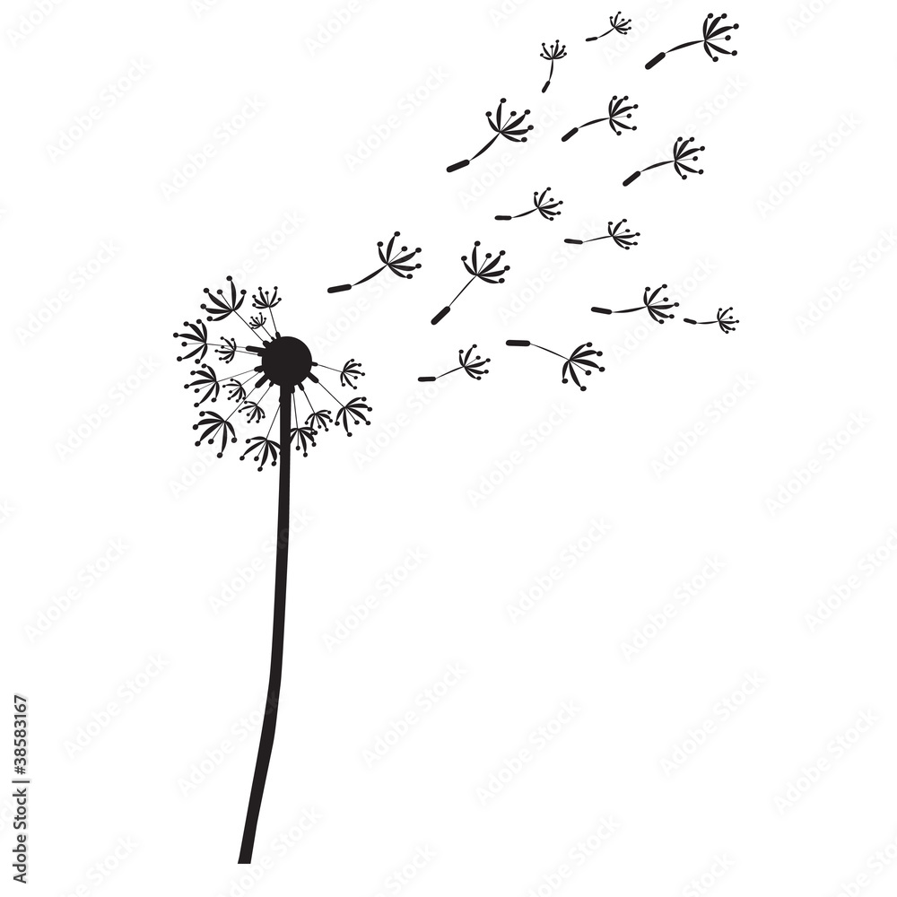 dandelion vector outline silhouette Stock Illustration | Adobe Stock