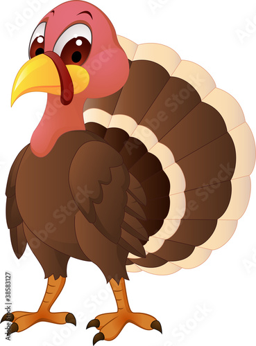 Turkey cartoon