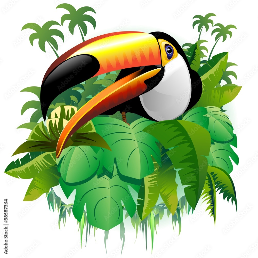 Tucano Vegetazione Tropicale-Toucan on Tropical Plants-Vector
