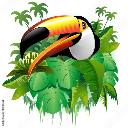 Tucano Vegetazione Tropicale-Toucan on Tropical Plants-Vector