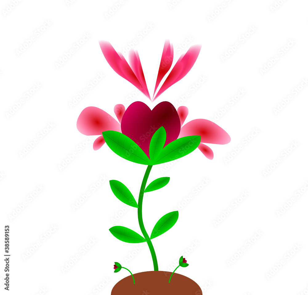 Rose Coeur Rose Coeur