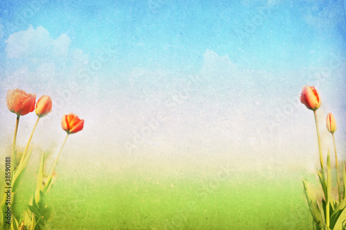 Spring, summer background
