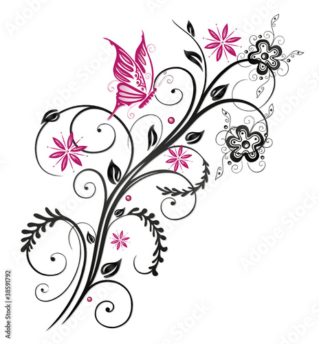 Ranke, flora, Blumen, Blüten, Schmetterling, pink