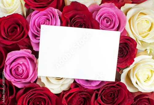 Roses with blank card