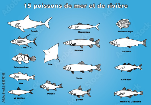 15 poissons de mer et de rivière