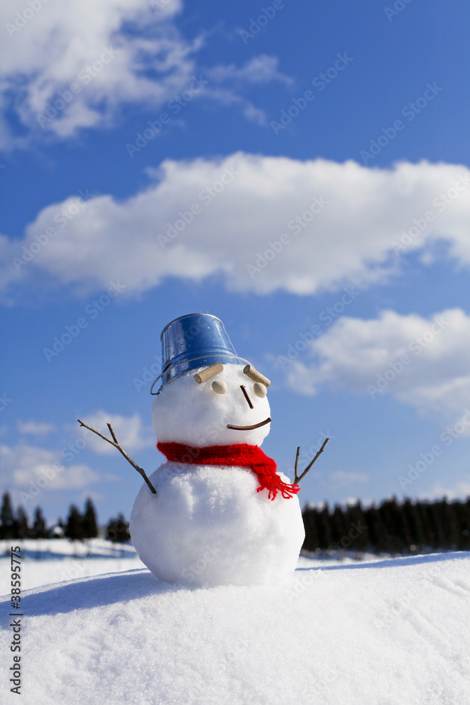 Obraz premium 雪だるま