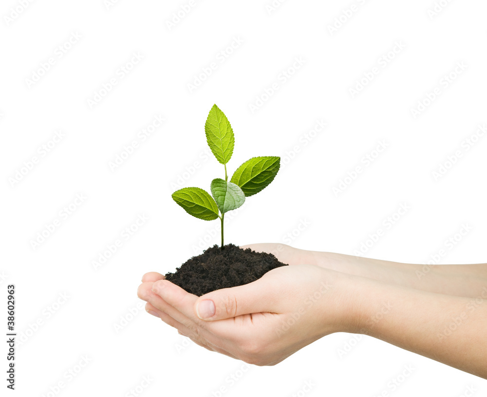 new life new life