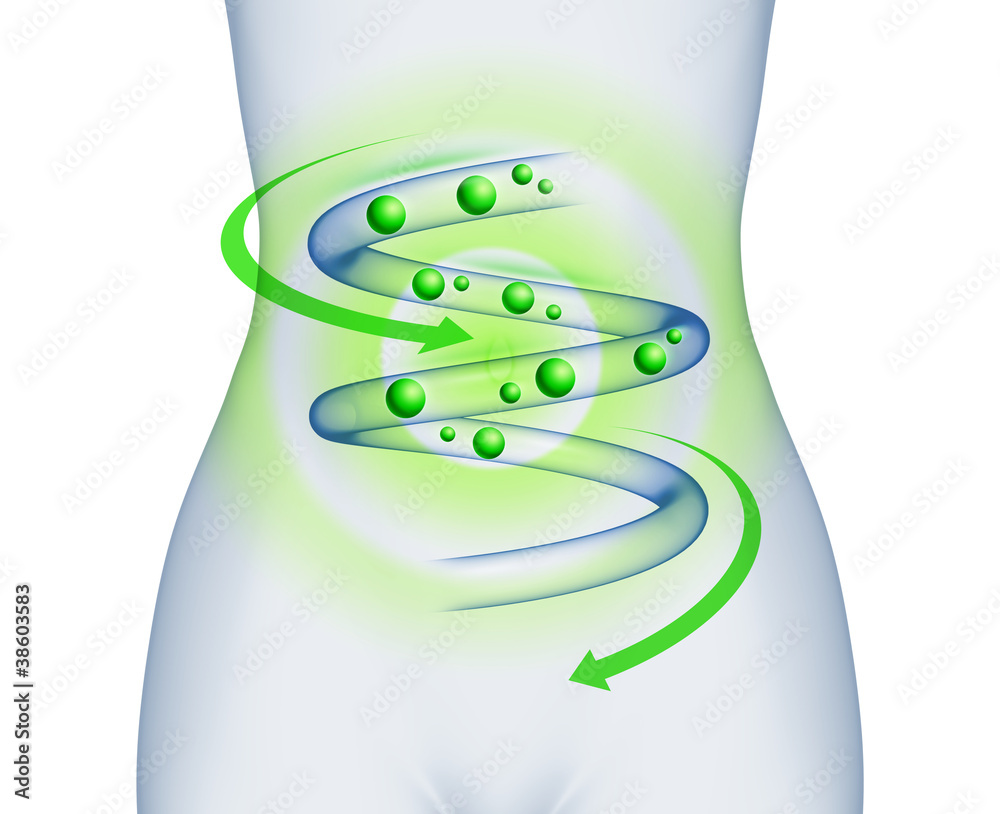 Sanfte Medizin im Verdauungstrakt Infografik StockIllustration