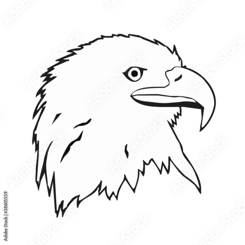 Eagle, head - tattoo