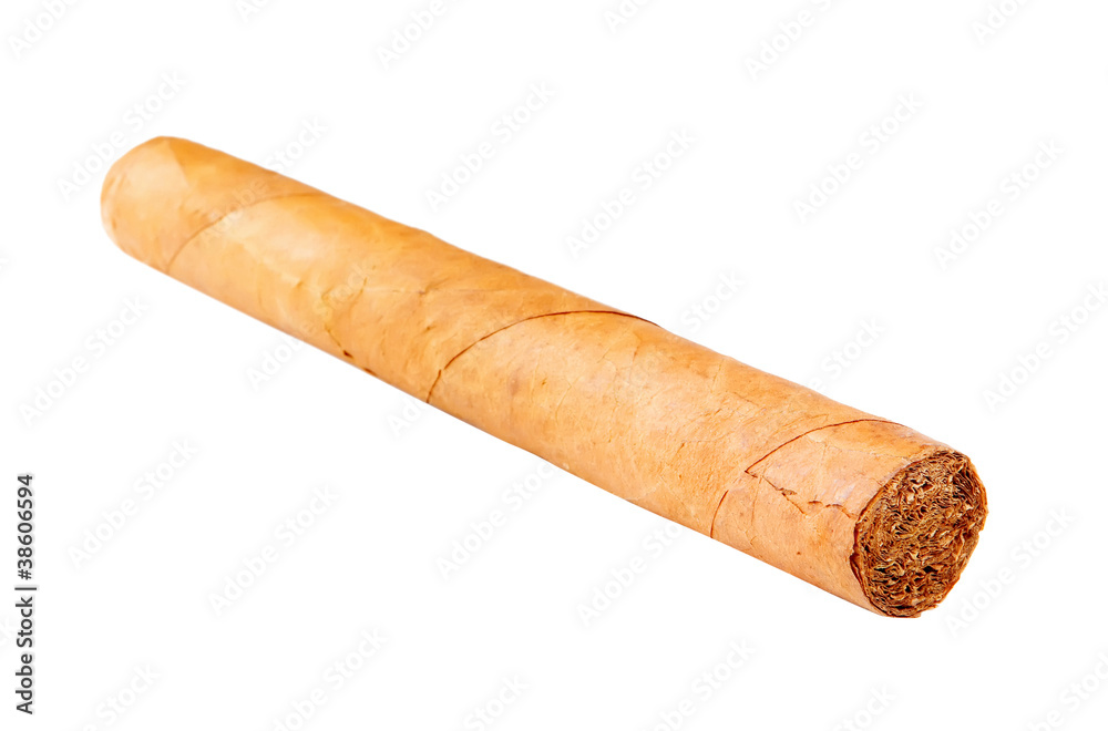 cigar isolated on white